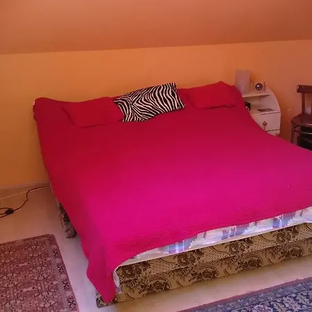 Bereg Apartman